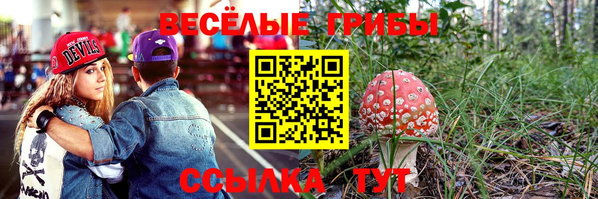 закладка  Вход с VPN  Шарыпово  Галлюциногенные грибы GOLDEN TEACHER 
